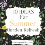 summer garden refresh ideas