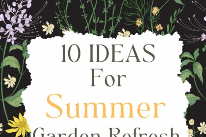 summer garden refresh ideas